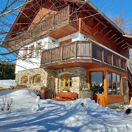 Ubytovani V Sumavskem Dome Nove Hute Luaran gambar
