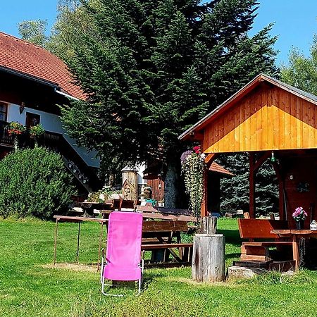 Ubytovani V Sumavskem Dome Nove Hute Luaran gambar