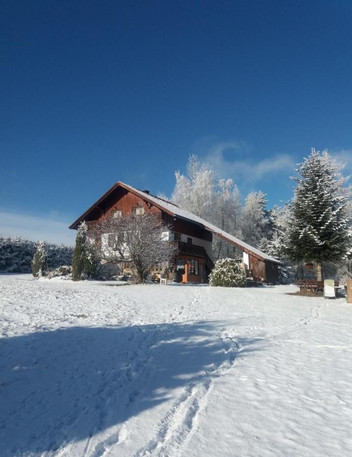 Ubytovani V Sumavskem Dome Nove Hute Luaran gambar