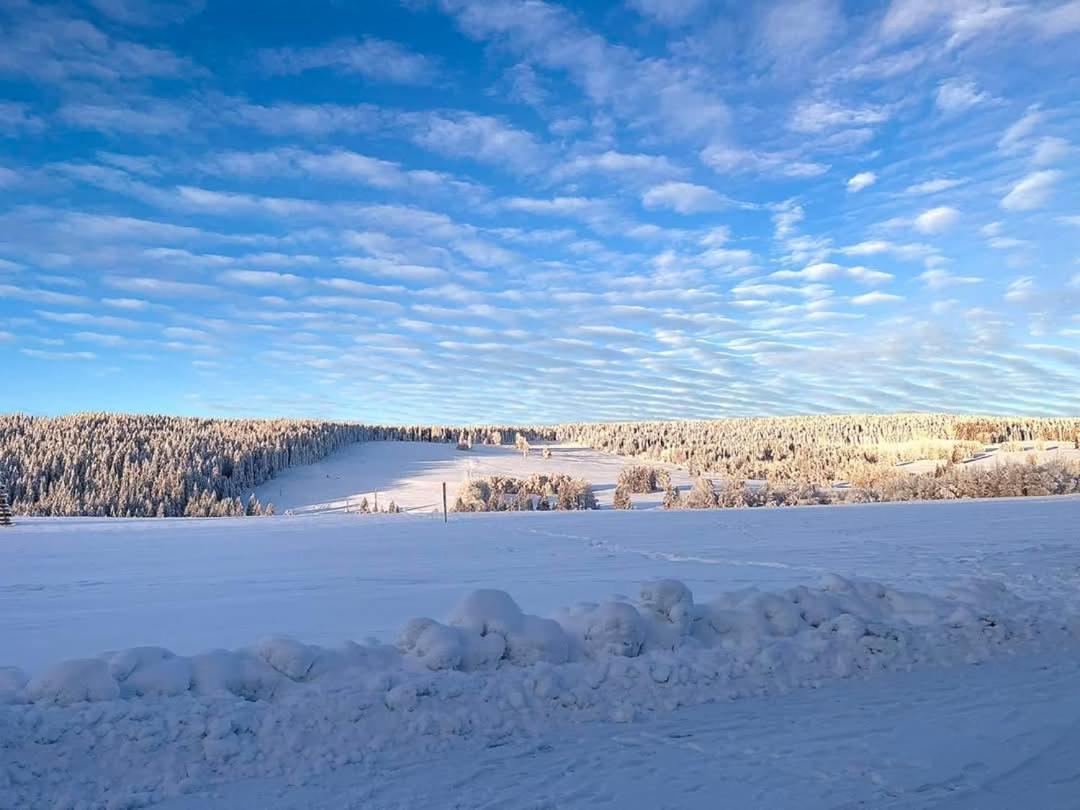 Ubytovani V Sumavskem Dome Nove Hute Luaran gambar