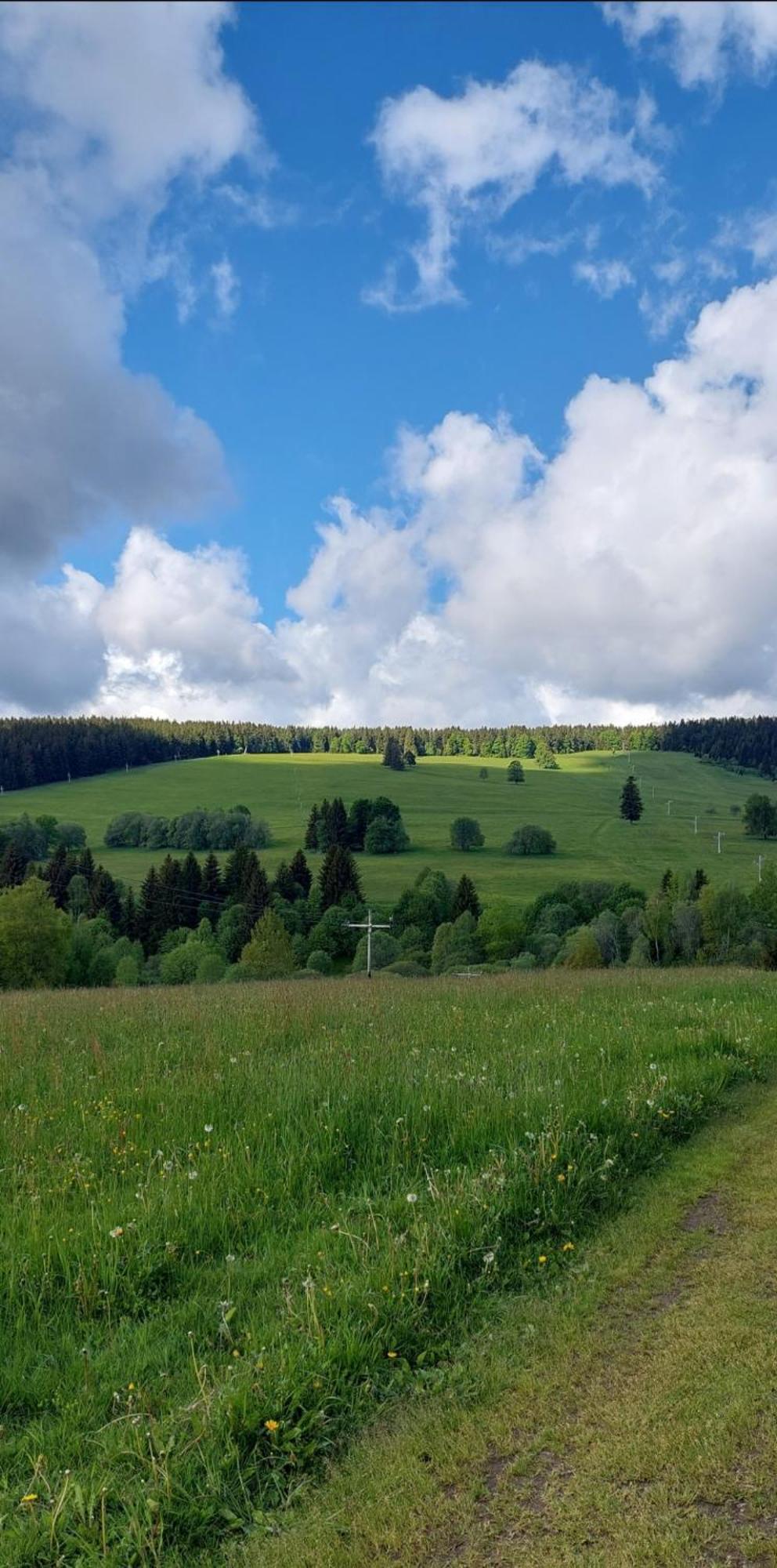 Ubytovani V Sumavskem Dome Nove Hute Luaran gambar